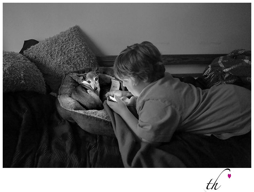 William The Conqueror 