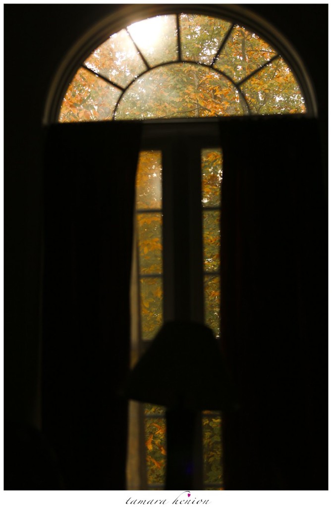 Autumn Window